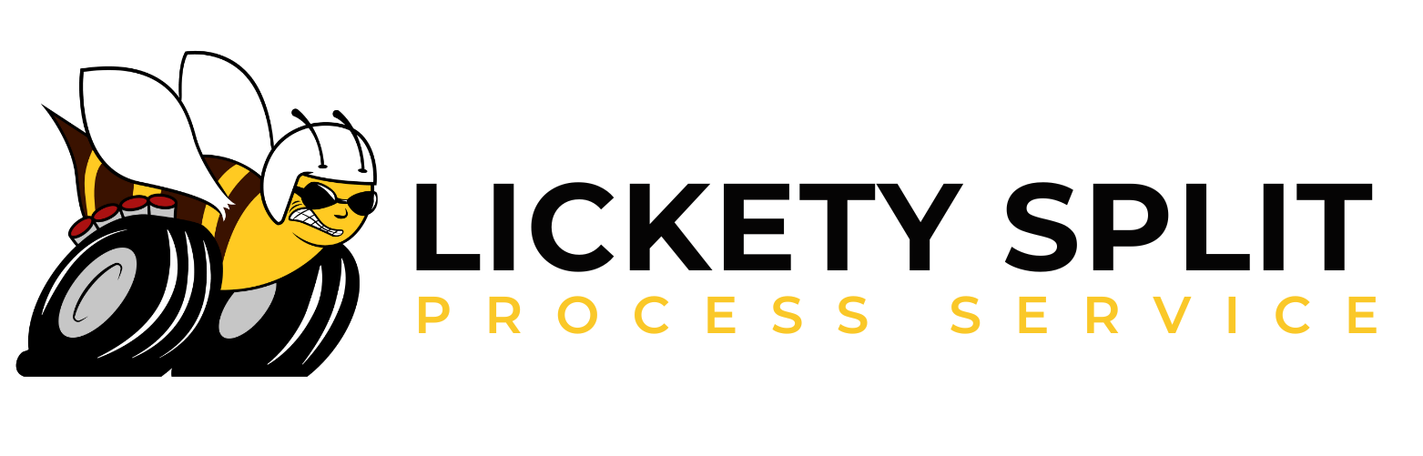 Lickety Split Process Service logo